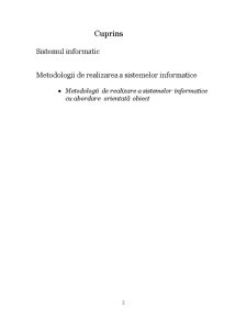 Abordarea orientată - obiect pentru integrarea proceselor de afaceri în sistemele informatice de gestiune - Pagina 2