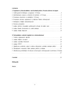 Studiu Aplicativ Privind Eficientizarea Activității Consiliului Județean Neamț - Pagina 2