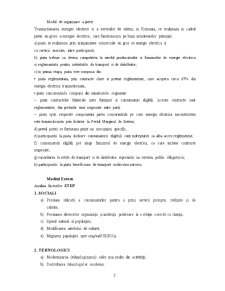 Plan de Afaceri SC FDFEE Transilvania Sud SA - Pagina 2