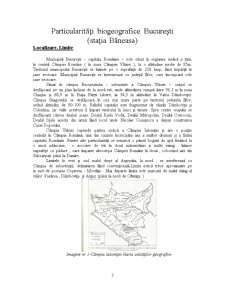 Particularități biogeografice București - stația Băneasa - Pagina 3
