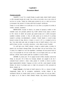 Tehnici promoționale utilizate în procesul comunicării de firma Heidi - Pagina 3