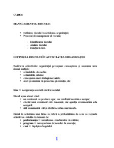 Managementul Riscului - Pagina 1