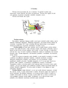 Bioacustică și optică biologică - Pagina 4