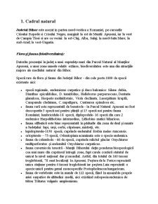 Studiu privind indicatorii necesari realizării planului de amenajare a teritoriului Județului Bihor - Pagina 3