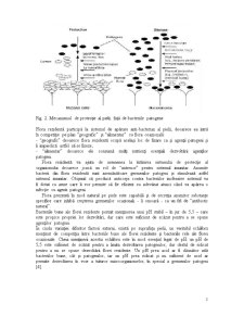 Tipuri de Compuși Biologic Activi Utilizați în Obținerea Materialelor Textile Multifuncționale - Pagina 5
