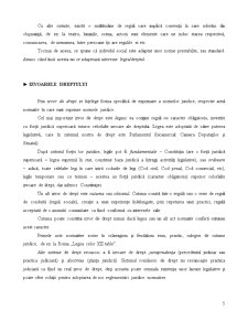 Noțiuni introductive în teoria dreptului - termenul și conceptul de drept - Pagina 5