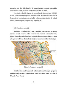 Plan de afaceri - ciupercărie Agaricus Bisporus - Pagina 5