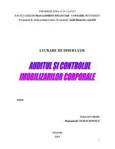 Auditul și controlul imobilizărilor corporale - Pagina 1