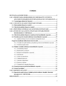 Auditul și controlul imobilizărilor corporale - Pagina 2