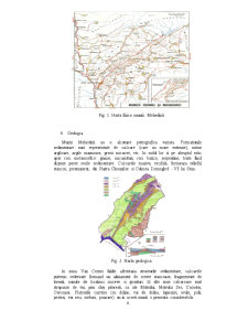 Studiu fizico - geografic asupra Munților Mehedinți - Pagina 4