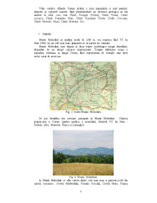 Studiu fizico - geografic asupra Munților Mehedinți - Pagina 5