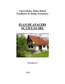 Plan de Afaceri SC Ciucaș SRL - Pagina 1