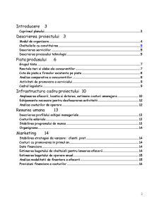 Plan de Afaceri SC Ciucaș SRL - Pagina 2