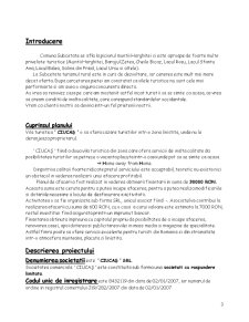 Plan de Afaceri SC Ciucaș SRL - Pagina 3