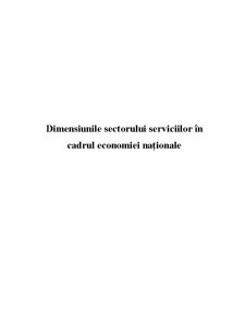 Dimensiunile Sectorului Serviciilor în Cadrul Economiei Naționale - Pagina 2