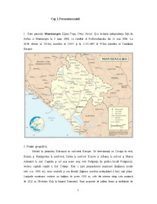 Management internațional - Muntenegru - Pagina 1