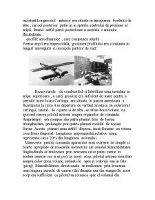 Henri Coandă - părintele aviației reactive - Pagina 4