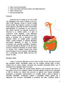 Alimentații speciale, sindromul de colon iritabil - Pagina 4