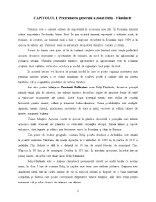 Pensiunea Bellissima - Pagina 4