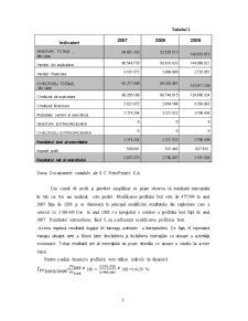 Analiza rentabilității la SC Petroproject SA - Pagina 2