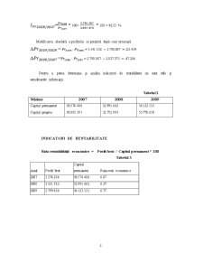 Analiza rentabilității la SC Petroproject SA - Pagina 3
