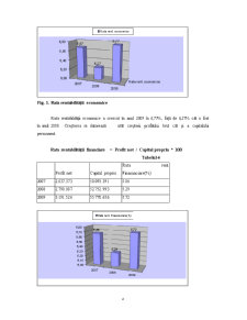 Analiza rentabilității la SC Petroproject SA - Pagina 4