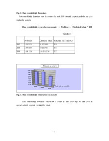 Analiza rentabilității la SC Petroproject SA - Pagina 5