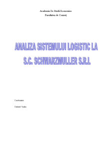 Analiza Sistemului Logistic la SC Schwartzmuller SRL - Pagina 1