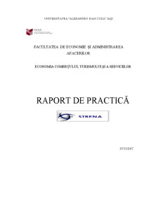 Raport de practică firmă comerț-servicii - Strena - Pagina 1