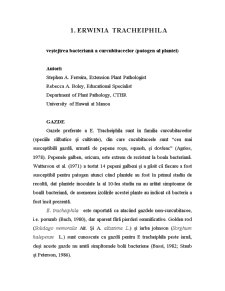 Microbiologie - Erwinia - Pagina 3