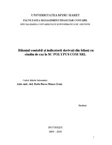 Bilanțul contabil și indicatorii derivați din bilanț - studiu de caz la SC Polypus Com SRL - Pagina 2