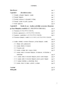 Bilanțul contabil și indicatorii derivați din bilanț - studiu de caz la SC Polypus Com SRL - Pagina 3