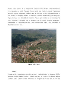 Potențialul etnografic al zonei Rucăr - Pagina 5