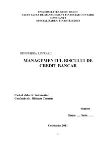 Managementul Riscului de Credit Bancar - Pagina 2