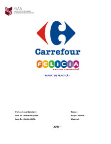 Raport de practică Carrefour - Pagina 1
