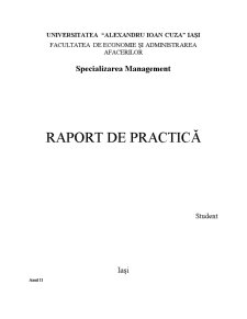 Raport de practică - Centrul de Afaceri Internațional SA - Pagina 1
