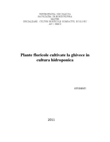 Plante floricole cultivate la ghivece în cultură hidroponică - Pagina 1