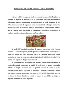 Producția de carne de pui - studiu de caz - SC Transavia SA - Pagina 2