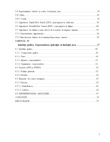 Structuri de Date în Limbajul Java - Pagina 3