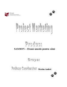 Mixul de Marketing pentru Produsul Hrană Umedă pentru Câini - Samson - Pagina 1