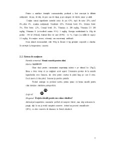 Mixul de Marketing pentru Produsul Hrană Umedă pentru Câini - Samson - Pagina 4