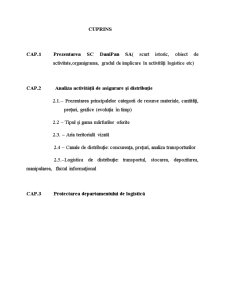 Sistemul logistic al întreprinderii SC Danipan SA - Pagina 2