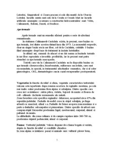 Amenajări teritoriale - Călimănești-Căciulata - Pagina 5