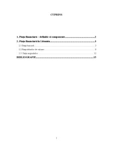 Piața Financiară - Definitie și Componente - Pagina 1