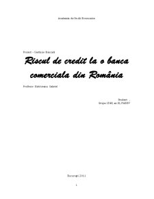 Riscul de Credit la o Banca Comerciala din România - Pagina 1