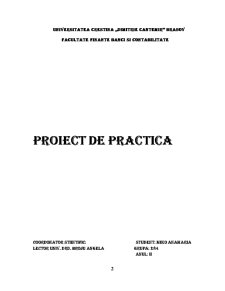 Proiect de practică Alpha Bank - Pagina 2