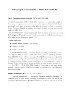 Sistemul logistic al întreprinderii SC Tri ’94 Rod Com SRL - Pagina 3