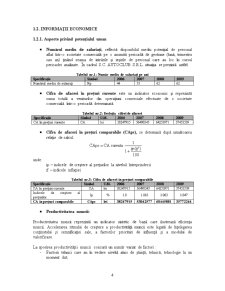 Analiza Rezultatelor Financiare la SC Autoclub SRL - Pagina 5