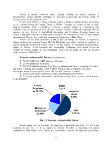 Analiza economico-financiară a Petrom - Pagina 2