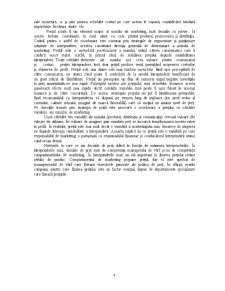 Studiu privind politica de preț la SC Serpico SRL Craiova - Pagina 5